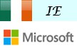 Senior Developer - Microsoft - IE